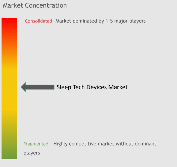 Sleep Tech Devices Market Concentration